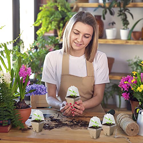 PURPLE STAR 1N 20 Pcs Biodegradable Nursery Pots with Humidity Dome- 2.3 Inch Square Seeding Starter Pot for Planting- Peat Pots for Seedlings Garden Vegetable Flower Germination - color: S-20pcs