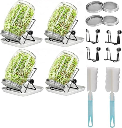 Lulonpon 4 Sprouting Jar Kit, Wide Mouth Quart Mason Jars with Stainless Steel Screen Sprout Lids, 86mm,1000ml,Stand,Tray and Canning Brush,Seed Sprouter Set for Growing Broccoli, Alfalfa, Mung Bean - color: White-NoCover4PTray