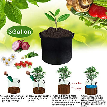 JES&MEDIS 12-Pack 3 Gallon Plant Grow Bags Thick Aeration Non Woven Fabric Flower Vegetable Pots with Handles Garden Container Black (3 Gallon_12 Pack) - size: 3Gallon_12Pack