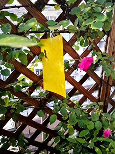 Faicuk Yellow Dual-Sided Sticky Fly Traps for Plant Insect, 10 Pack - size: 10 PACK