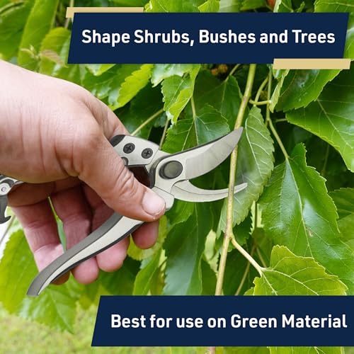 Bypass Pruning Shears for Gardening - 8” Heavy Duty Garden Shears - Spring-Loaded Snap Catch and Ergonomic Grips - Ultra Sharp Rust Resistant Trimming Scissors - Gardening Tools by Kings County Tools - style: 8" Bypass Pruner