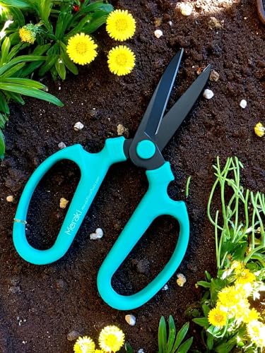 Garden Pruning Shears Scissors Carbon Steel Blades 7.6 Inch, Echinops - Teal - style: 7.6 inch Teal