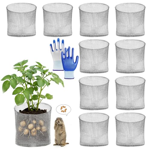 15 Gallon Gopher Baskets, 5packs Root Guard Gopher Proof Baskets - size: 15 Gallon-5pack