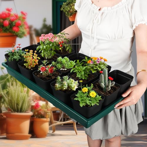RooTrimmer 1020 Nursery Pots Trays 5 Pack, Plastic Flat Seed Starter Trays, Durable Seedling Potting Tray for Carrying and Holding Planting Pot (Green) - color: Green, size: TP1020-5P