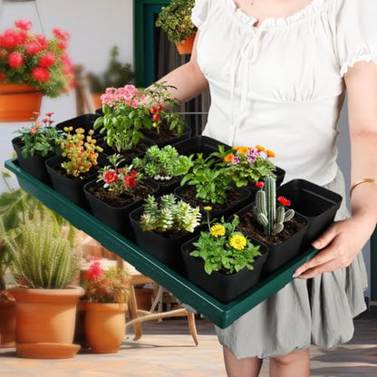 RooTrimmer 1020 Nursery Pots Trays 5 Pack, Plastic Flat Seed Starter Trays, Durable Seedling Potting Tray for Carrying and Holding Planting Pot (Green) - color: Green, size: TP1020-5P