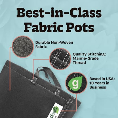 GeoPot 1 Gallon Fabric Grow Bags with Handles for Vegetables, Houseplants, Herbs & Flowers | 10-Pack | Fabric Pots for Outdoors and Indoors, Aerated Fabric Grow Bags - size: 1 Gallon (10-Pack), style: With Handles