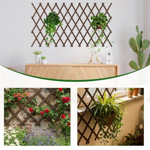 Expandable Garden Lattice, 38"x89" Wooden Trellis for Climbing Plants 2PCS - color: Brown-2PC, size: 38" x 89"