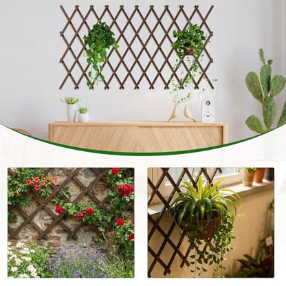 Expandable Garden Lattice, 38"x89" Wooden Trellis for Climbing Plants 2PCS - color: Brown-2PC, size: 38" x 89"