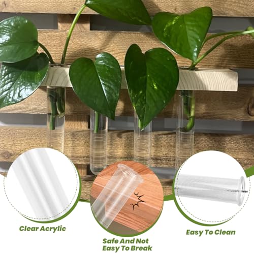 20Pcs Test Tubes for Plants Propagation Tubes with Brush, Propagation Station Tubes 20ml Plastic Test Tubes for Hydroponic Plants, Flowers, Home Office Wall Decor (12 cm) - size: Plastic