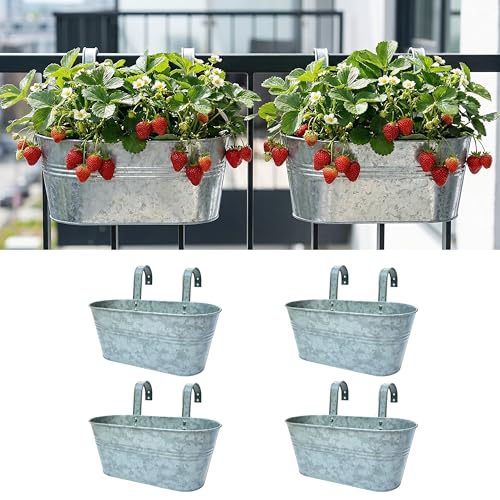 LaLaGreen Rail Planter (16 in, 6 Pack) Silver Metal Hanging Flower Pots - size: 16" (41cm) x 4 Pack