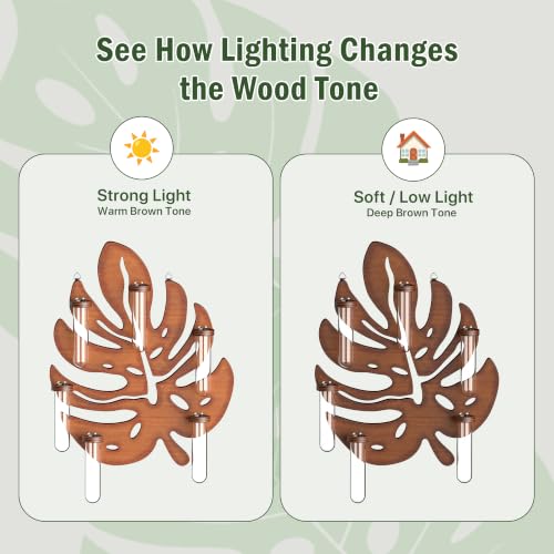 2 Pack Monstera Hanging Wall Planter, Plant Propagation Station - size: 2 Pack