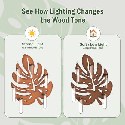 2 Pack Monstera Hanging Wall Planter, Plant Propagation Station - size: 2 Pack