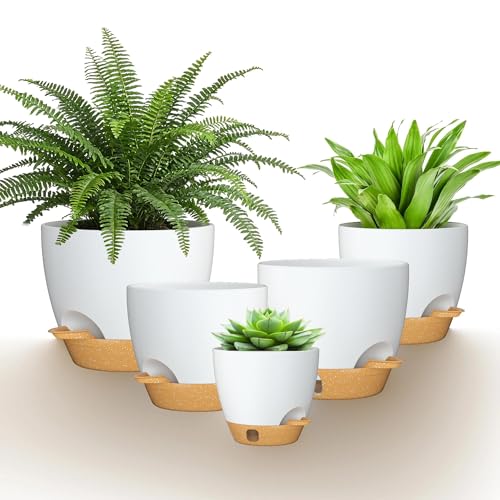12/10/9/8/6 Inch Self Watering Pots for Indoor Outdoor Plants, Set of 5 Large Plastic Planters with Visual Water Window, Drainage Holes & Watering Lip, Modern Decorative Flower Pots (White) - color: White, size: 6/8/9/10/12 Inch