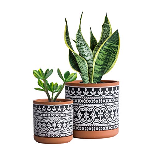 D'vine Dev 2-Pack Terracotta Pots, 4/6 in, Terra/Black, 31-958-F-2 - color: Terracotta/Black