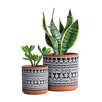 D'vine Dev 2-Pack Terracotta Pots, 4/6 in, Terra/Black, 31-958-F-2 - color: Terracotta/Black