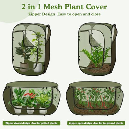 24"x24"x36" Pop Up Mesh Plant Covers, Insect Barrier Plant Enclosure - color: Green
