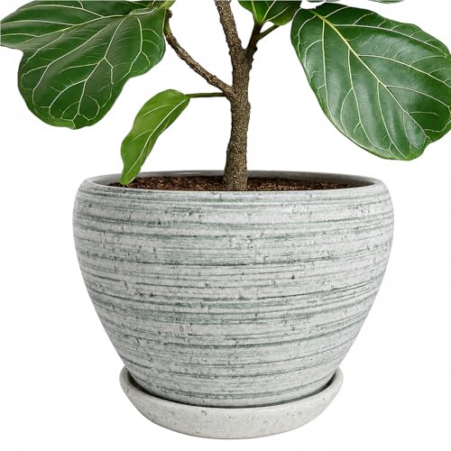 Deep Dream 10 Inch Plant Pot- Ceramic Planter Pot Round Plant Pots for Indoor Plants Outdoor Large Flower Pot with Drainage Holes & Trays, Brushed Green - color: Brushed Green, size: 10 Inch
