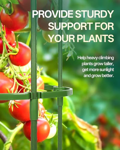 3 Pack Tomato Cage, Up to 59 Inch Adjustable Metal Tomato Cages for Garden - size: 3 Pack-59in