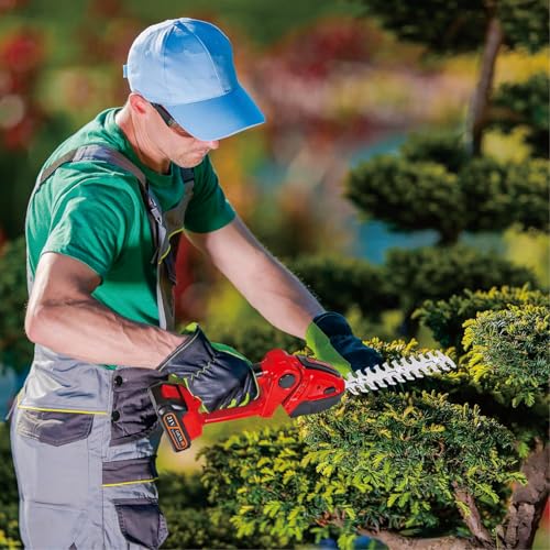 Hedge Trimmer Cordless 2 in 1 Handheld Grass Shears Mini Shrubbery Grass Cutter Electric Brush with Battery and Charger (Mordern)