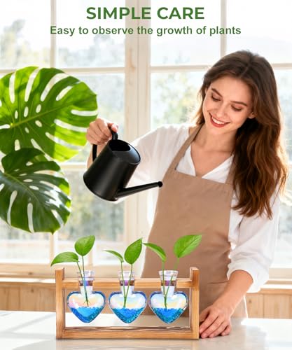 Nacome Plant Terrarium with Wooden Stand, 3 Heart Bulb Glass Vases - color: Iridescent Clear