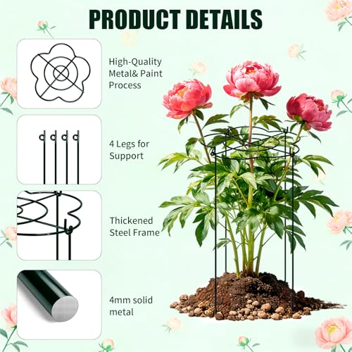 Peony Cages and Supports 4 Pack, 13" Dx24 H Grow Through Plant Supports, Heavy Duty Metal Plant Support Cage for Outdoor Flowers, Tomatoes, Hydrangeas, Cucumbers & Strawberries