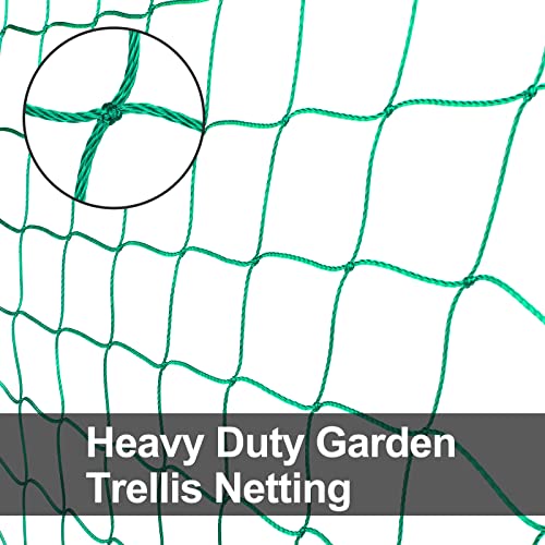 Trellis Netting, Heavy-Duty Garden Grow Netting for Climbing Plants, Outdoor Indoor Net for Cucumber, Tomatoes, Beans, Clematis, Fruits & Vegetables, Climbing Vining Plants (32.8' x 6.6'Ft) - size: 32.8' x 6.6'Ft
