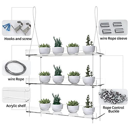 3-Tier Hanging Acrylic Plant Shelves for Windows - color: 3 Tier