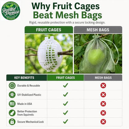 Fruit Protection Cages for Peaches and More | 2026 Improved Secure-Lock Design | Small 4x5 Inch | 24 Pack | Squirrel Resistant | Reusable Heavy-Duty Plastic | Made in USA - size: Small (4 x 5)