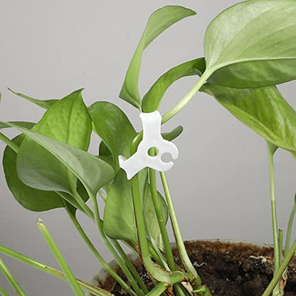 LucyPhy 60 Pack Plant Bender Angle Adjustable Plant Training Clips Low Stress Training Clips 90 Degrees Plant Stem(Circle Style,White) - color: White, size: 60Pack