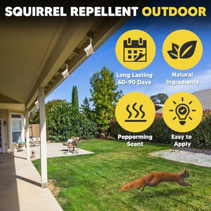 AUDQQM Squirrel Repellent 12 Pouches, Outdoor Chipmunk Repellent - size: 1.4 Ounce (Pack of 12)