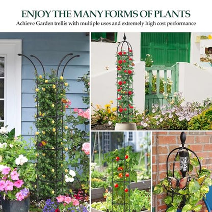 WellSign 2Pack 6.6ft Obelisk Trellis for Climbing Plants Outdoor Indoor - size: Metal-6.6ft-2PK
