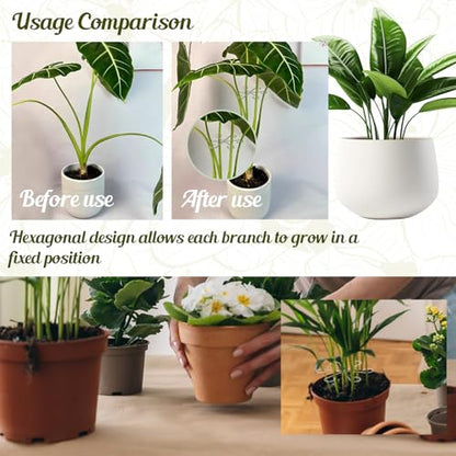 Clear Indoor Plant Support Stakes, 8 Pack Plastic Stem Holders - color: 8 Pcs Clear