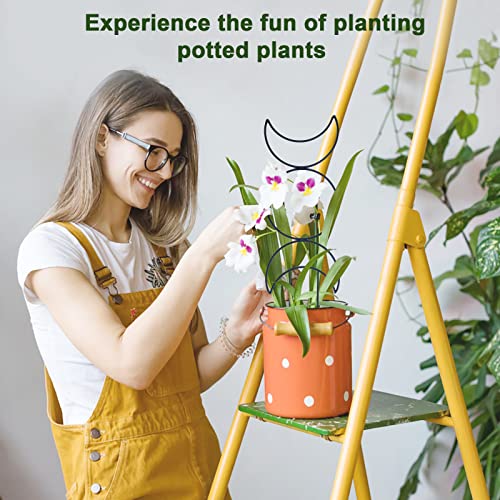 Wellsign 16inch Small Indoor Plant Trellis for Climbing Plants Outdoor - size: Black-Metal-Trellis01