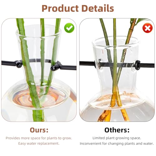 Plant Propagation Station with Acacia Wood Stand and 4 Glass Vases - size: Small