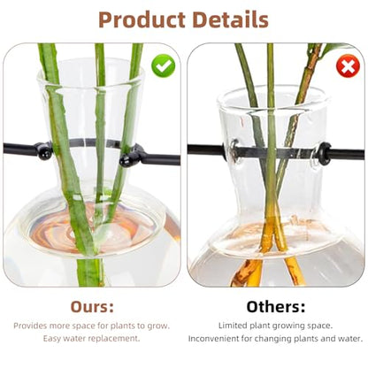 Plant Propagation Station with Acacia Wood Stand and 4 Glass Vases - size: Small