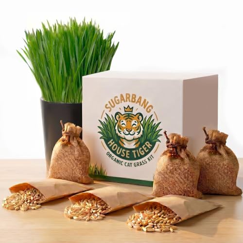 House Tiger Cat Grass Refill 3 Pack | Aids Digestion, Hairball Control & Oral Health for Indoor Pets | Includes 3 Plantings of Premium Cat Seed, Watering Wicks & Eco Friendy Coco Coir Soil Discs - size: 3-Pack Refill