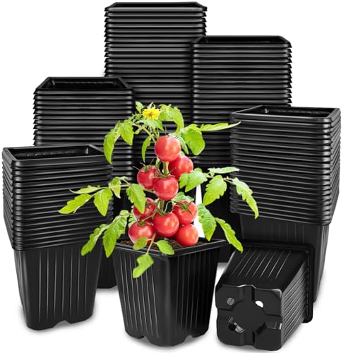 Anyumocz 100Pcs Square Plant Nursery Pots,3.5 Inch Plastic Pots with Drainage Holes,Reusable Seed Starter Pots for Flowers,Vegetables,Garden Planting,Transplanting,Succulents,Cuttings(Black) - color: 1 Color (Black)