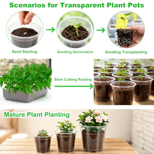 JERIA 30 Pack 5 Inch Clear Nursery Pots with Drainage Holes, Clear Plant Pot for Planting, Transparent Plastic Plant Pots,Durable Seed Starting Pot for Succulents - size: 5Inch-30Pack