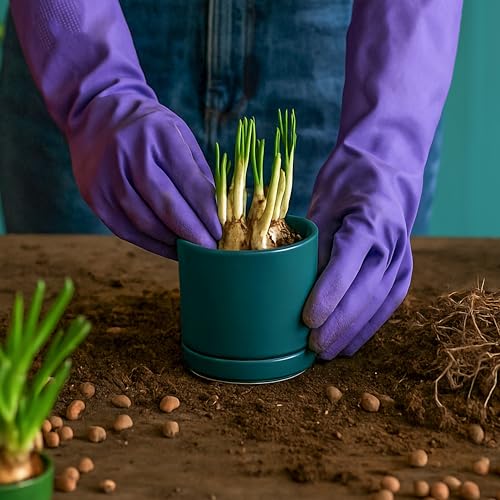 D'vine Dev 2-Pack Ceramic Pots with Saucers, Teal, 3.5 in, 94-V-A-9 - color: Teal, size: 3.5 Inch