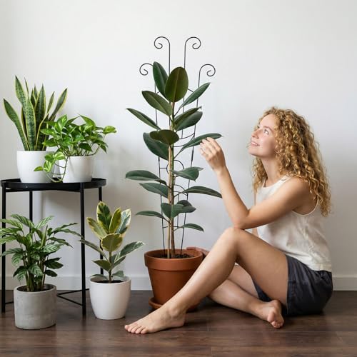2 Pack 33 In Adjustable Plant Trellis for Climbing Plants Indoor Thickened Rust-Proof Metal Climbing Support Expandable 15-30 Inch Indoor Outdoor Garden Trellis for Pothos Ivy Monstera with Plant Ties - color: Black Moon