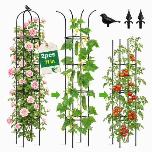 OTOSUNNY 2 Pack 6 ft Garden Obelisk Trellis for Climbing Plants Outdoor - size: 2 pack 75.6 in