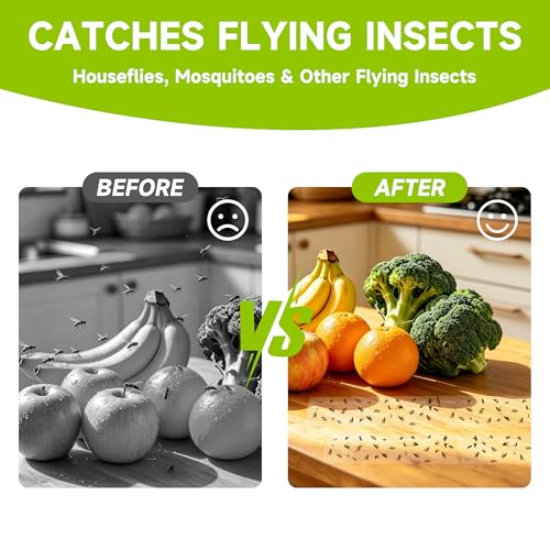 Landisun Fly Trap Indoor Fruit Fly Traps Mosquitos Gnat Windows Bug Sticky Glue Traps 30 Pack