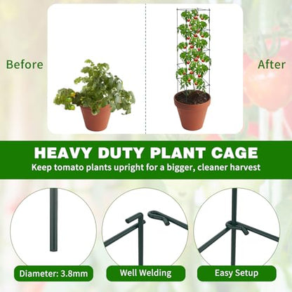 6 Packs Tomato Cages for Garden, 12"×12"×48" Plant Support Cage with Different Spacing, Green Metal Trellis for Climbing Plants Like Cucumber, Flowers - size: 12"×12"×48“ 6 Packs