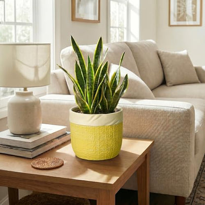 8 Inch Pots for Plants, Ceramic Planter, Round Planter, Yellow - color: Yellow, size: 8 Inch