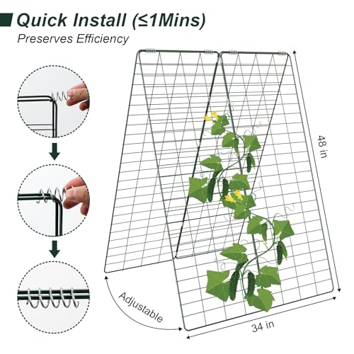 Amoskey Cucumber Trellis, Garden Trellis for Climbing Plants Outdoor, Foldable A-Frame Trellis, Cucumber Trellis for Raised Bed for Cucumbers, Peas, or Tomatoes (Green, Small Grid 48‘’H*34''W) - color: green, size: small grid 48‘’H*34''W