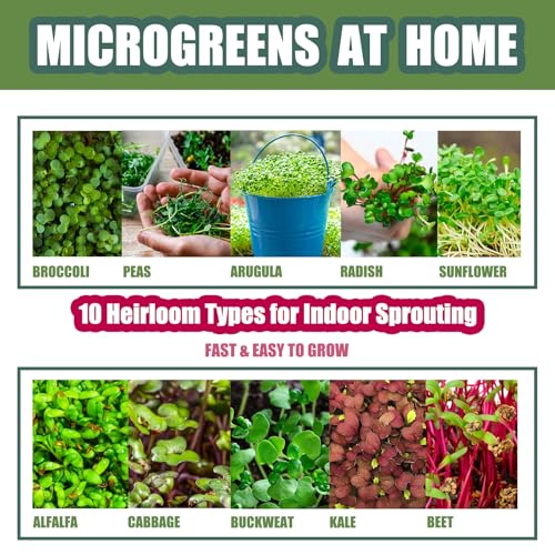 QISHENG - 4 Pack Microgreens Grow Kit,Soil-Free Cultivation Germination Tray,BPA-Free Indoor Sprouting Kit for Growing Bean Sprouts/Organic Seeds/Broccoli/Alfalfa/Radish/Clover (Beige)