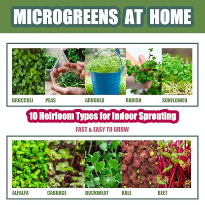 QISHENG - 4 Pack Microgreens Grow Kit,Soil-Free Cultivation Germination Tray,BPA-Free Indoor Sprouting Kit for Growing Bean Sprouts/Organic Seeds/Broccoli/Alfalfa/Radish/Clover (Beige)