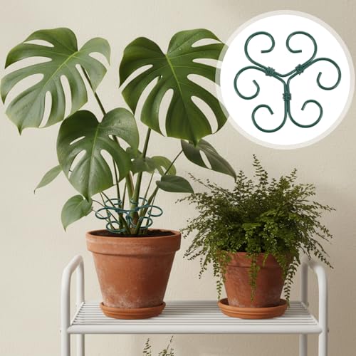 Tyqour 4PCS Plant Stem Support Monstera Support Durable Plant Supports