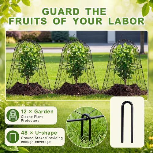 Sadnyy 12 Pack Garden Chicken Wire Cloche, 13" W x 15.7" H Plant Protectors and Covers Wire Garden Cloches from Animals Metal Cage Plant Protection Strong and Not Easy to Deform No Assembly Required - size: 13" D X 15.7" H, style: Classic Style