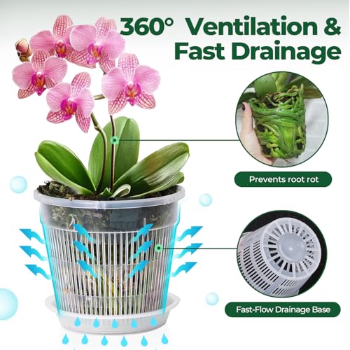 T4U Clear Orchid Pots 6.3 Inch 6 Pack, Orchid Pot with Holes Repotting - size: 6.3 Inch, 6 Pack